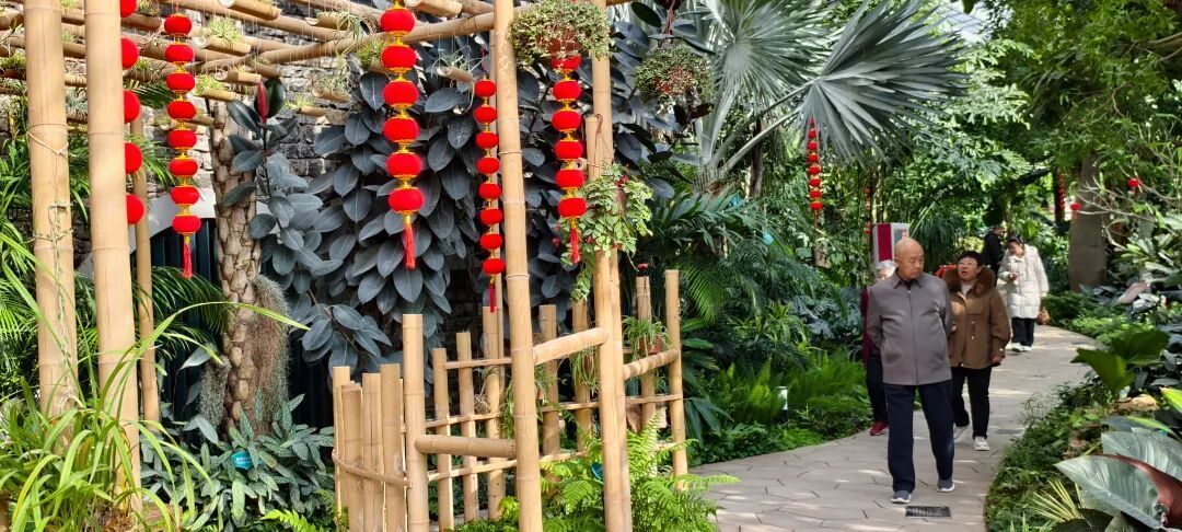 济南植物园藏年味，快来赴一场新春之约