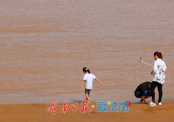 黄河岸边乐享清凉