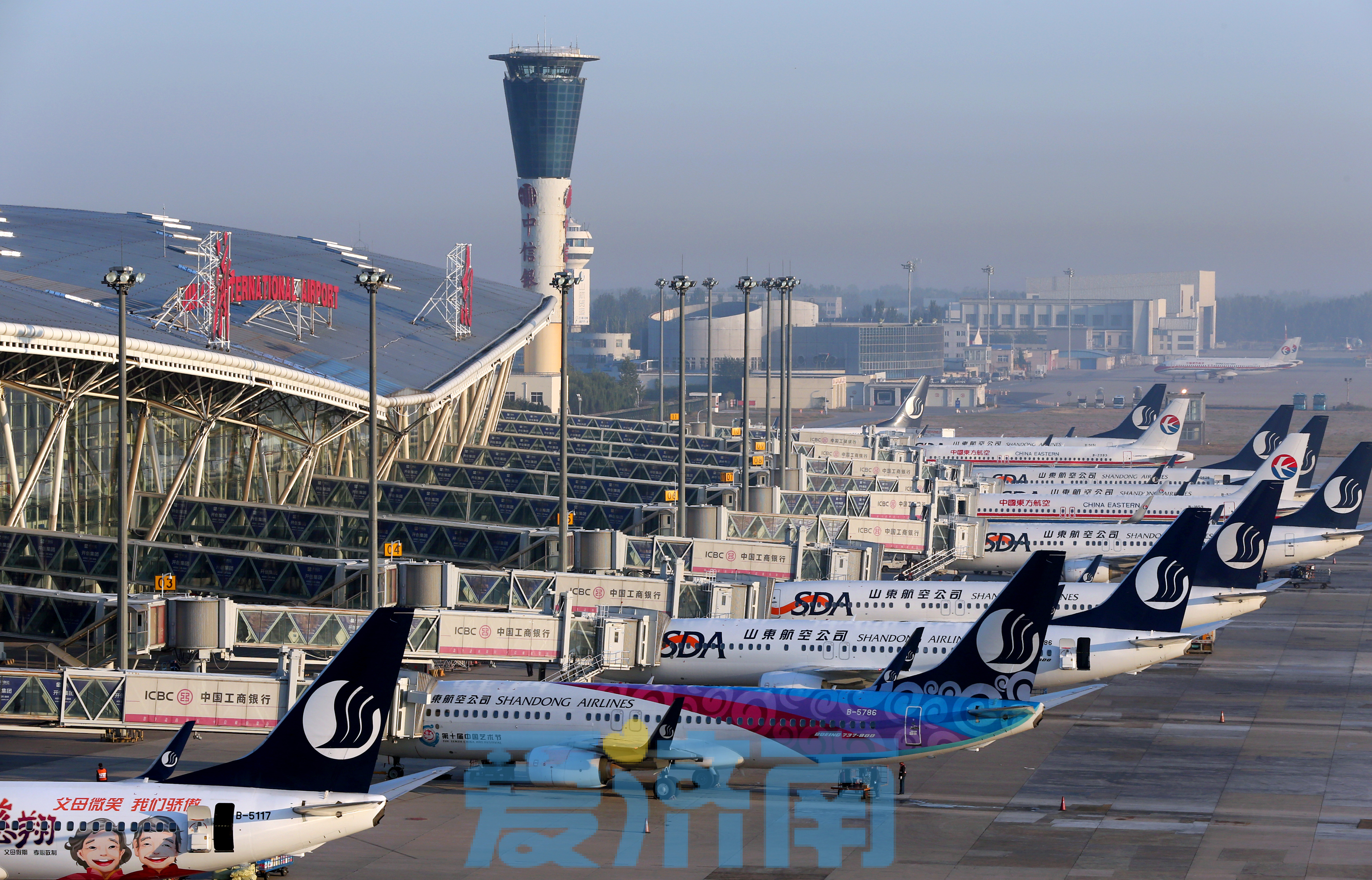 夏秋航季周末开启！山航新增20条航线，“日韩快线”最高每日14班