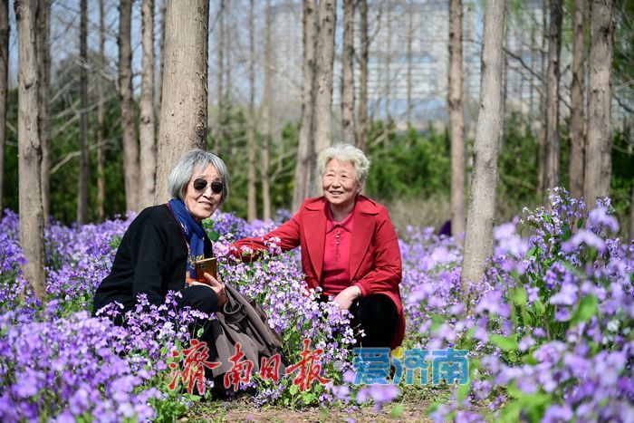 一年四季 泉在济南丨泉城春色浓 森林公园变身“春日调色盘”