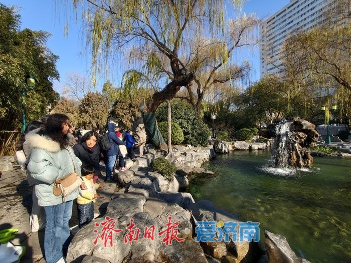 一年四季 泉在济南｜泉涌如歌贺新元，元旦假期济南地下水水位持续保持高位