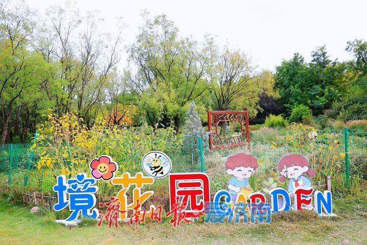 一年四季 泉在济南丨层林尽染秋意浓 市民游园赏景乐享时光