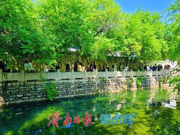 泉韵涌动人气旺 泉水游持续火爆领跑文旅市场