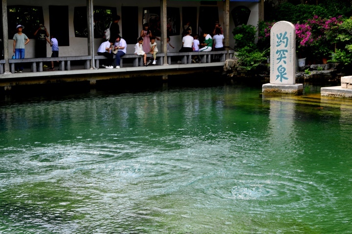 趵突泉水位节节攀升，“水涌若轮”景观已渐显