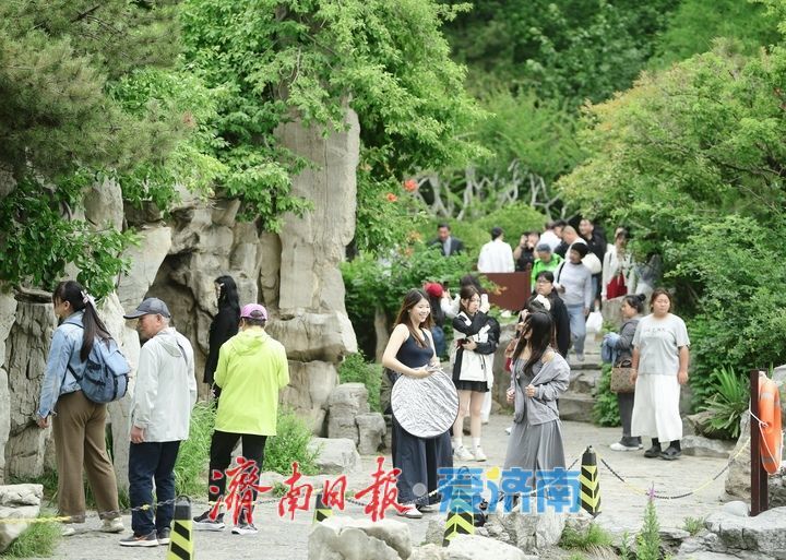 一年四季 泉在济南丨初夏凉爽天，寻幽龙潭畔
