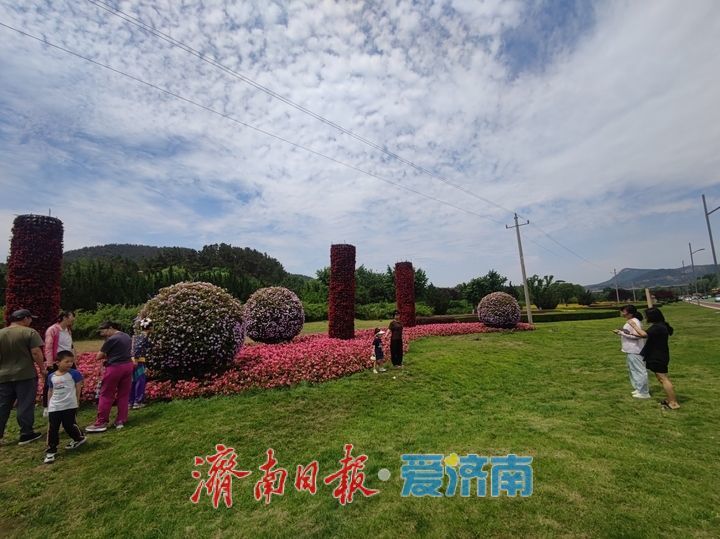 一年四季 泉在济南丨环湖路化身 “花廊” 引客打卡留影