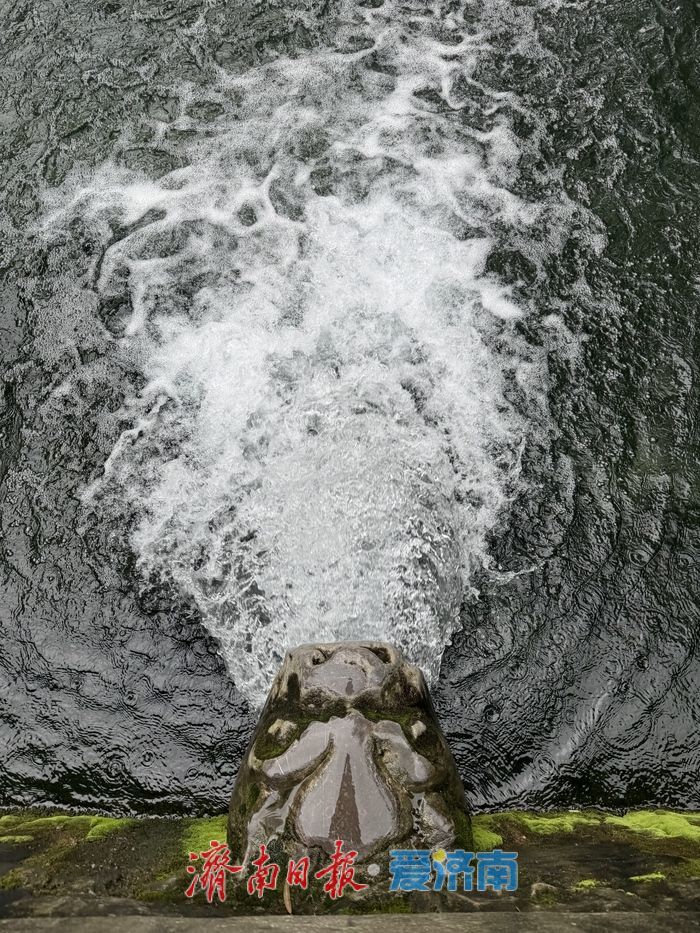 黑虎泉水位达29.30米创新高，三虎头“霸气”喷涌引众人打卡