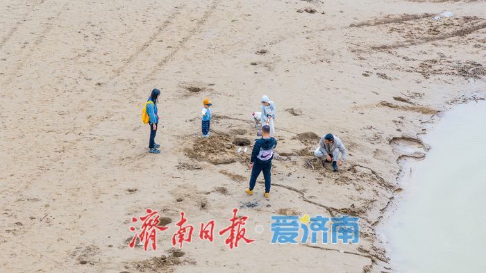 凶险！济南黄河岸边水位回落，别把滩涂当乐园