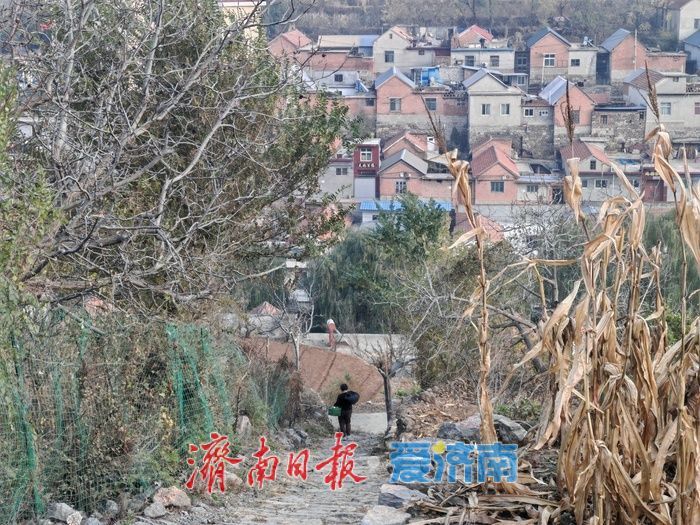 初冬访石人石马，立石山间觅悠然