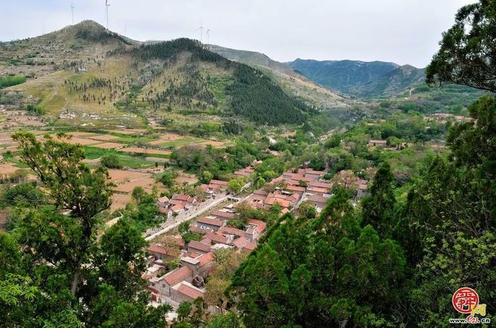 观花官庄丨石门村：桃花灼灼笑春风，诗画乡野待君来