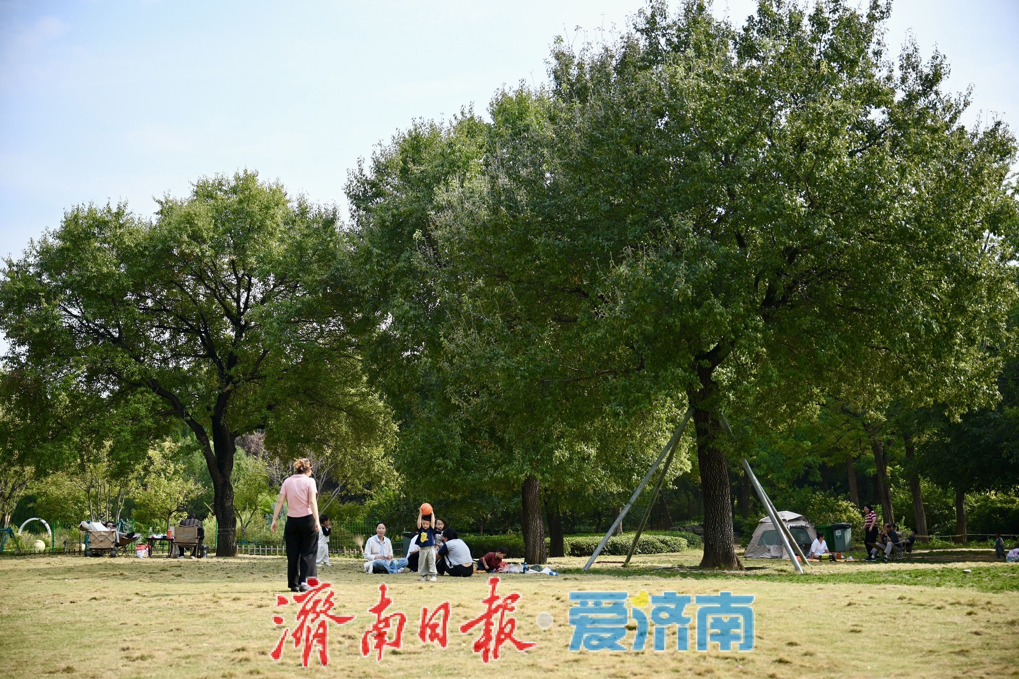 一年四季 泉在济南丨秋染林海景如画 济南森林公园乐享休闲好时光