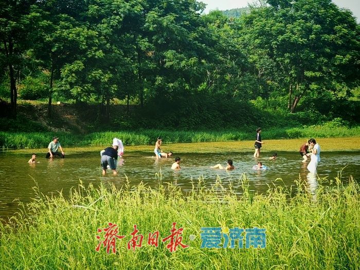 一年四季 泉在济南丨玉符河畔觅清凉：宅科村段成市民消夏野趣乐园