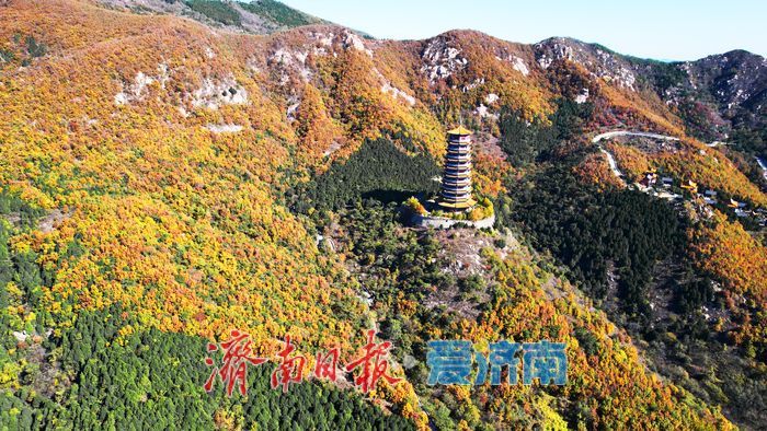 层林尽染换“彩妆”！大舟山打翻秋日“调色盘”