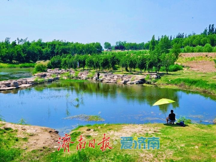 水清岸绿景怡人 睦里闸邂逅初夏生态美景