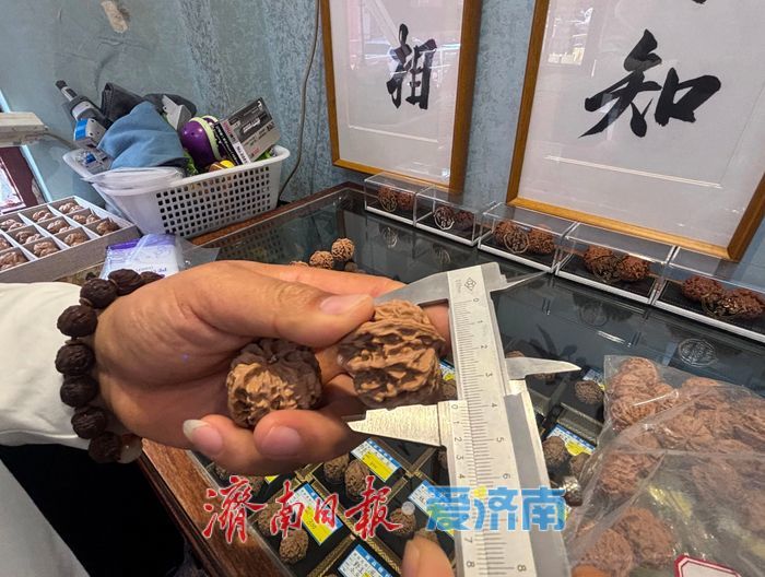 核桃配成对、葫芦待刻、虫鸣织网，济南英雄山脚下烟火气正腾腾