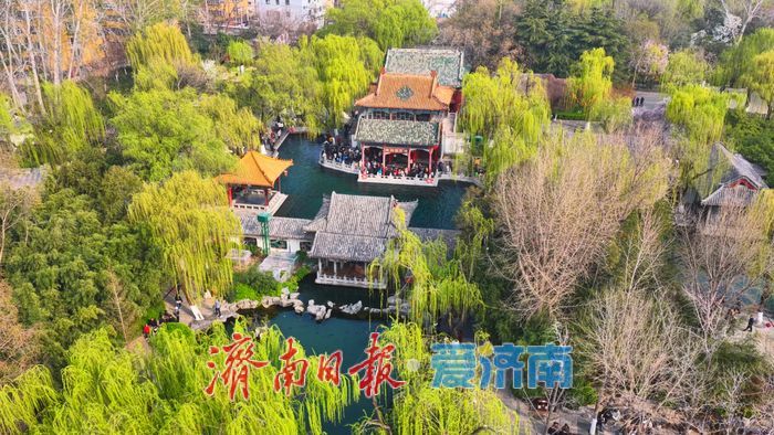 气温攀升泉涌欢，趵突泉畔春意浓