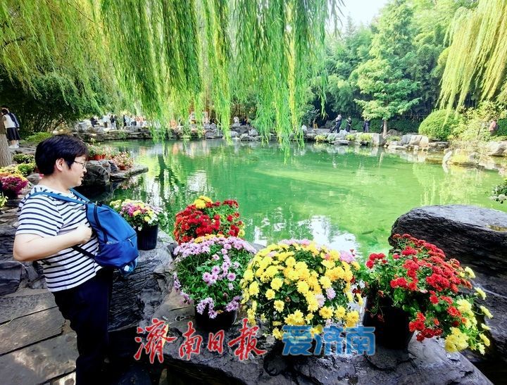 无忧泉边菊初绽，一城秋色待君来