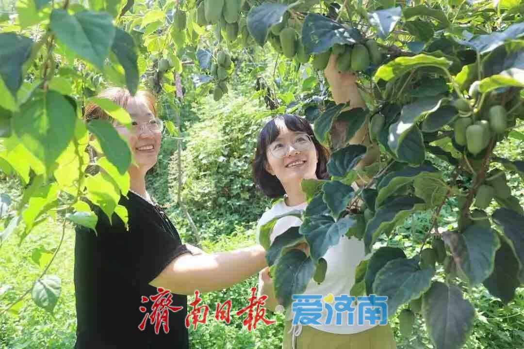 国庆觅趣指南：邂逅泉韵山色，乐享都市烟火