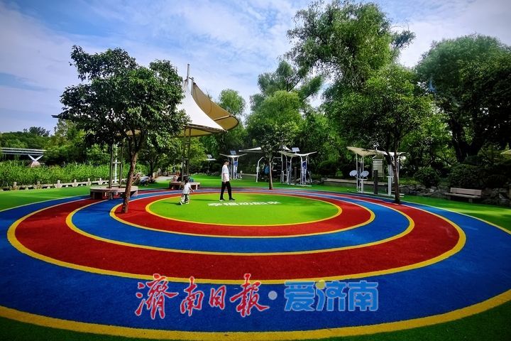 绿意林间享运动 公园智慧健身驿站受市民青睐