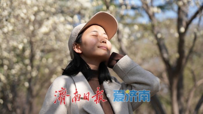 玉兰花再次凭实力出圈，“花” 式打卡等你赴约