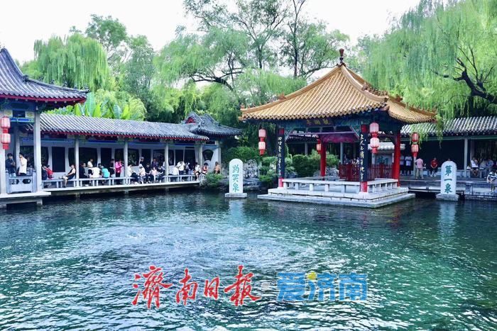 一年四季 泉在济南丨雨后趵突泉水位显著回升 高温天游客赏泉热情不减