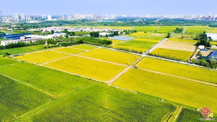 高水平打造“齐鲁门户，医养之都” 槐荫区：产城融合高质量发展跃上新台阶
