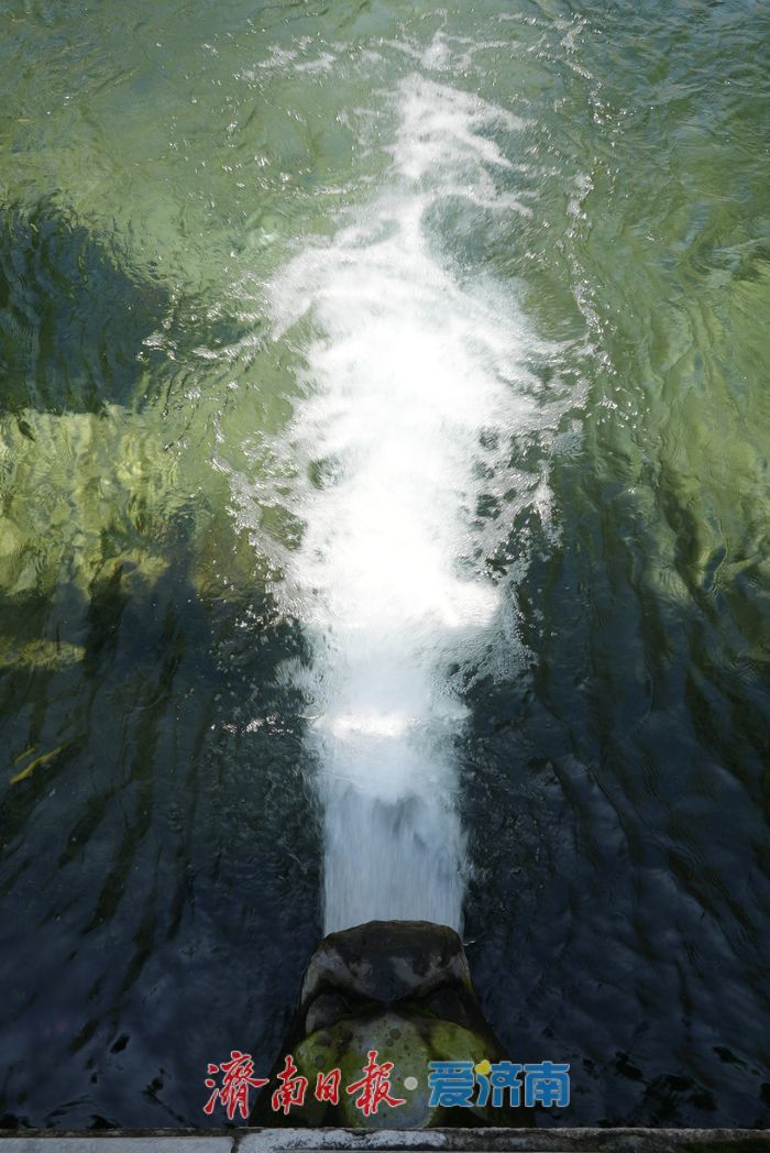 黑虎泉水位实现“九连涨”，创年内新高