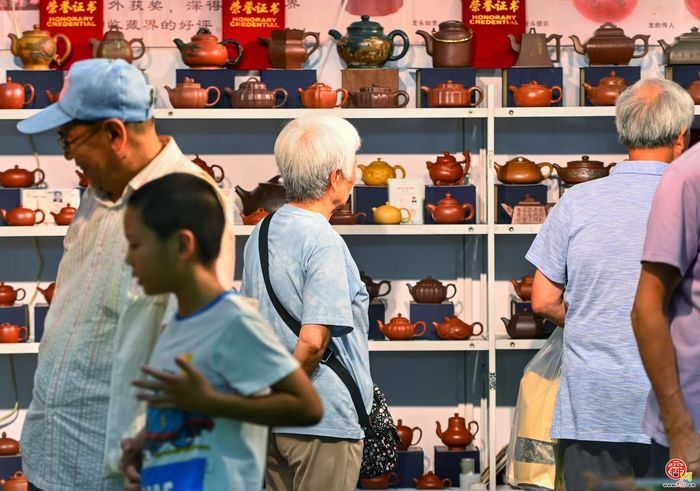 700家品牌茶企齐聚泉城 2024济南国际茶博会开幕