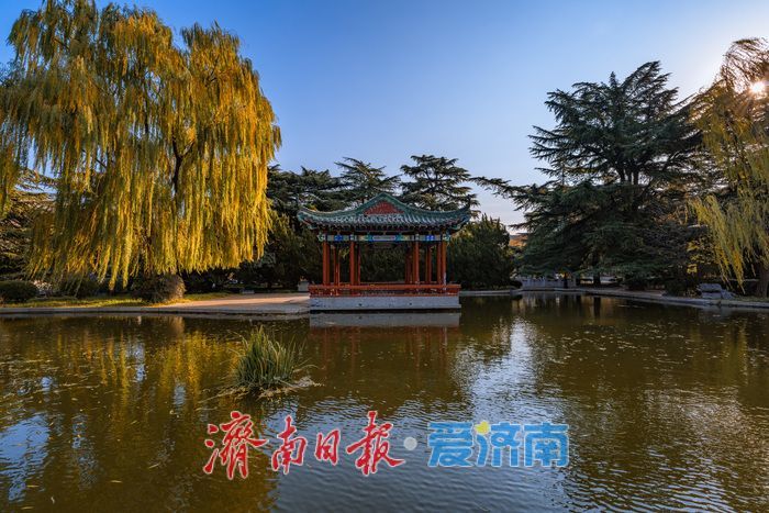 济南降温迎清透蓝天 南郊宾馆公园冬日景致美如画