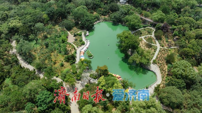 一年四季 泉在济南丨航拍泉城公园，“都市绿肺”沁凉意