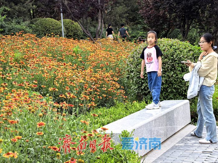 一年四季 泉在济南丨漫步、垂钓、赏景！腊山河畔邂逅初夏美好时光