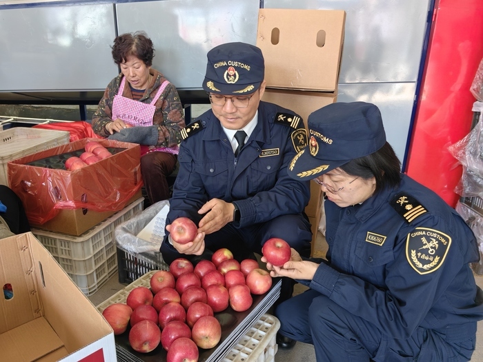 济南节后市场供应充足“菜篮子”价格普遍回落