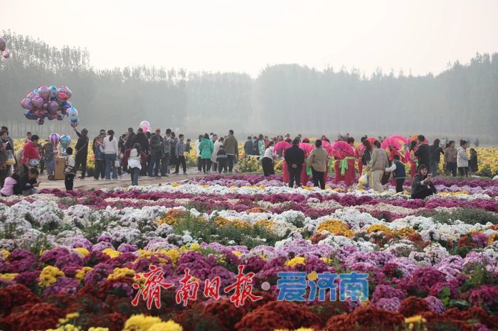 春日暖阳，带你奔赴浪漫花约，济南市特色林果赏花攻略来啦→