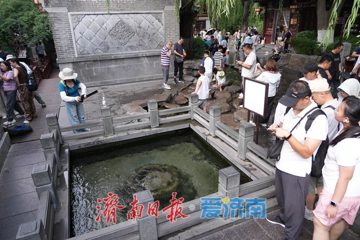 泉城开启“蒸煮模式” 趵突泉畔亲泉戏水寻清凉