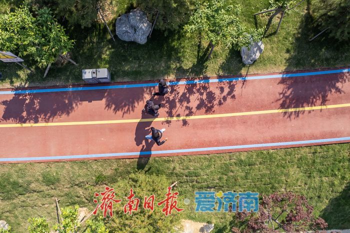 大辛河畔绿意浓，市民乐享“家门口”的春日假期