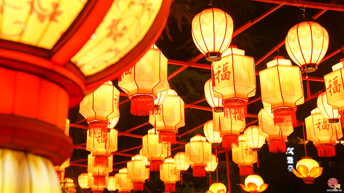 灯火璀璨 光映泉城丨第45届天下第一泉迎春花灯会