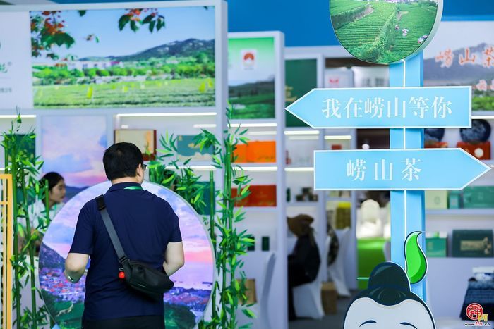 700家品牌茶企齐聚泉城 2024济南国际茶博会开幕