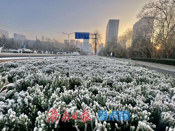 霜雪染泉城 济南冬日添雅致