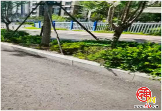 马路巡查+现场办公 济南城管破解反复投诉难题