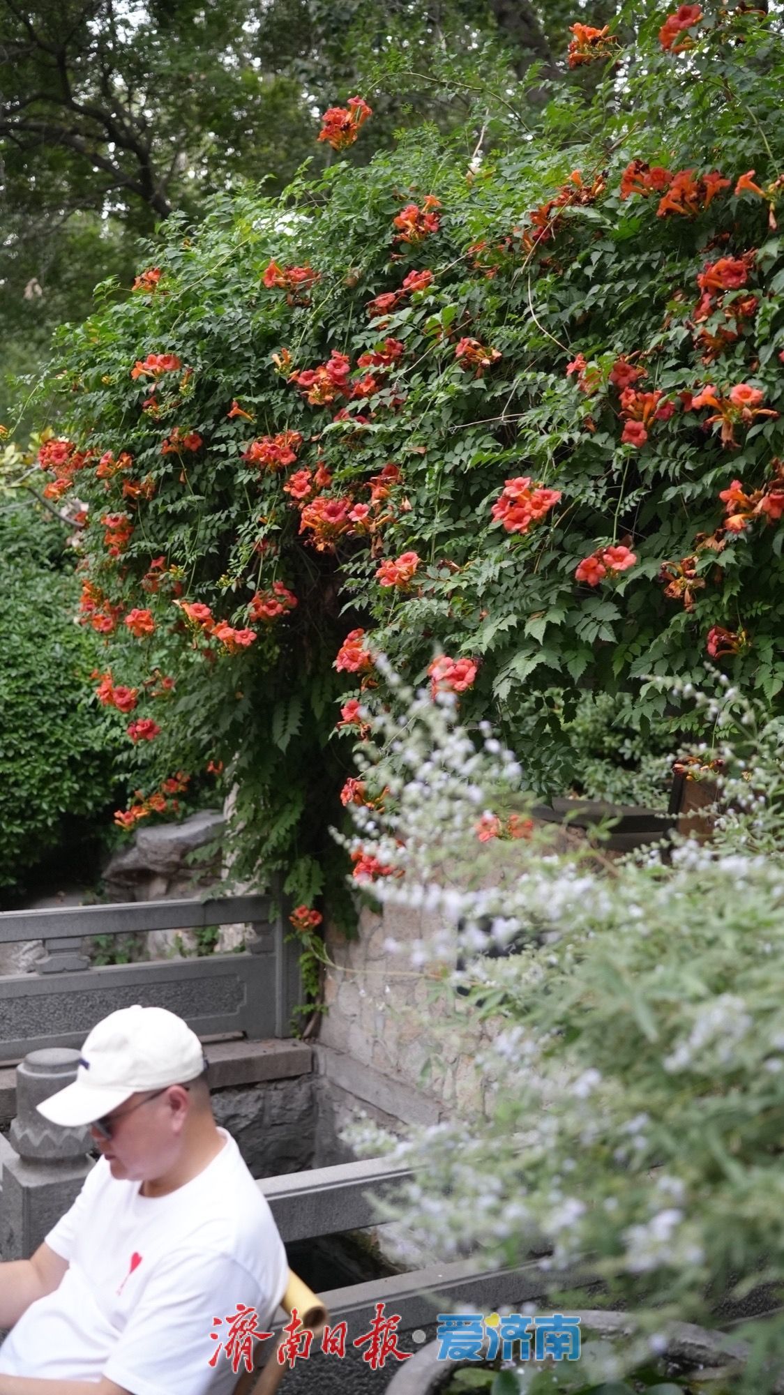 一年四季 泉在济南 