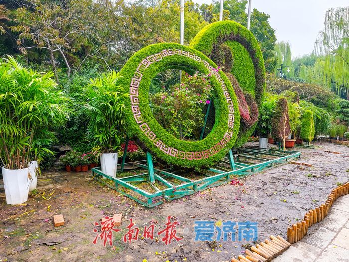 趵突泉菊花展筹备正酣，金秋文化盛宴即将开启