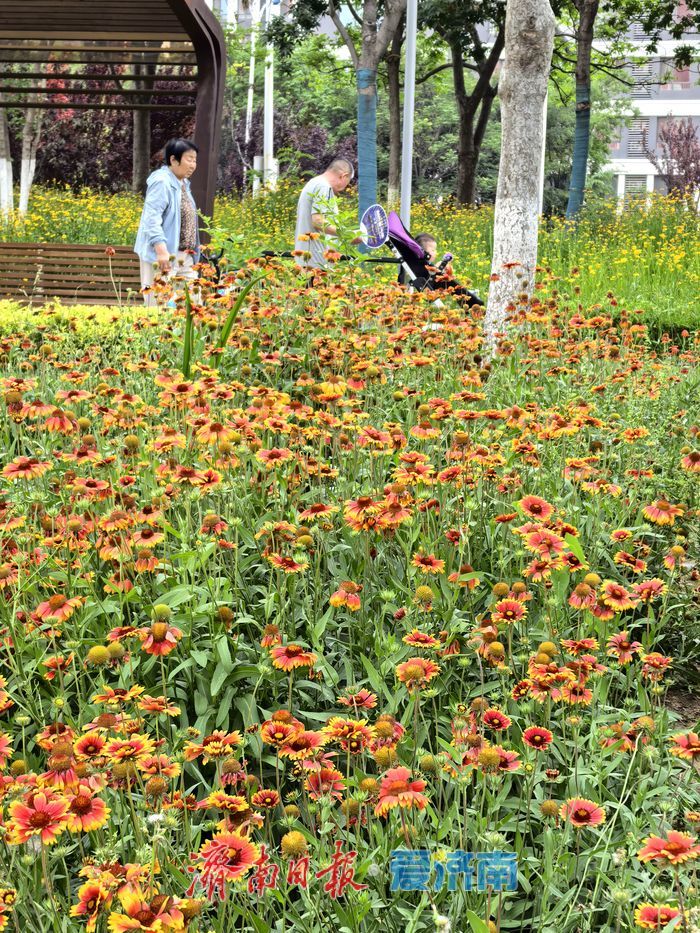 一年四季 泉在济南丨漫步、垂钓、赏景！腊山河畔邂逅初夏美好时光