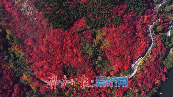 红叶谷第二十六个秋天如约而至 静待万山红遍与你的到来