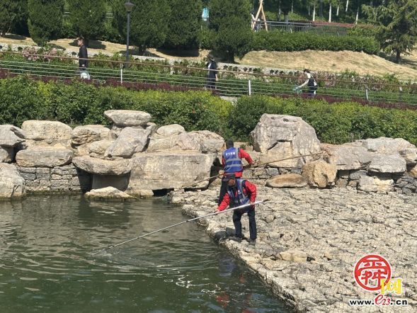 济南“泉水游”爆火背后：解码历下如何擦亮“泉水长涌”金名片