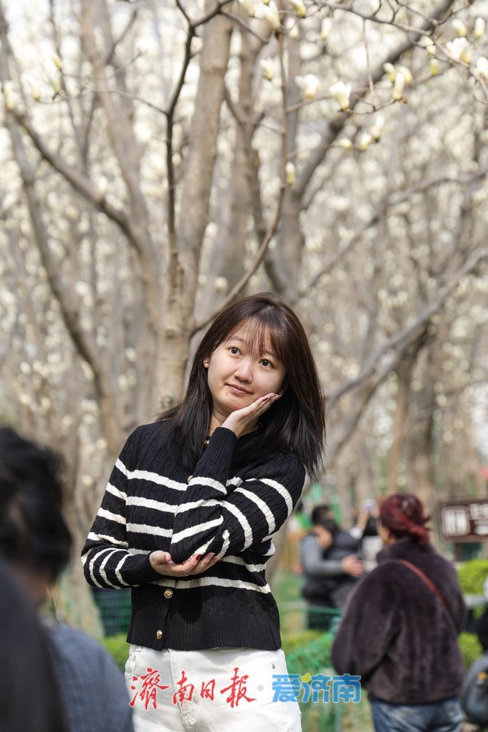 玉兰花开春意浓