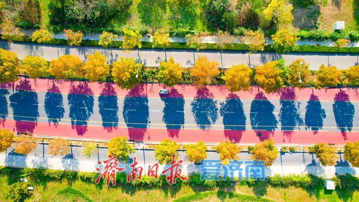 秋日彩叶映通途 一路风光伴出行