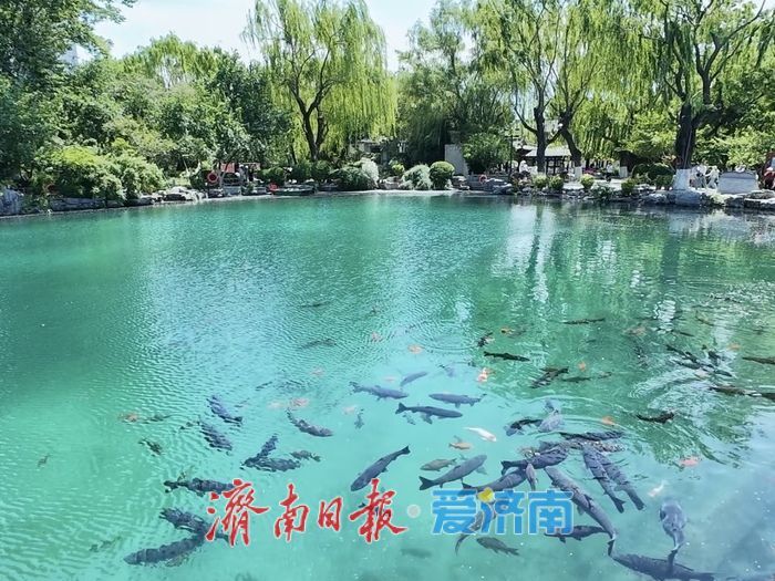 济南一个“新定位”，城市迎来新机遇