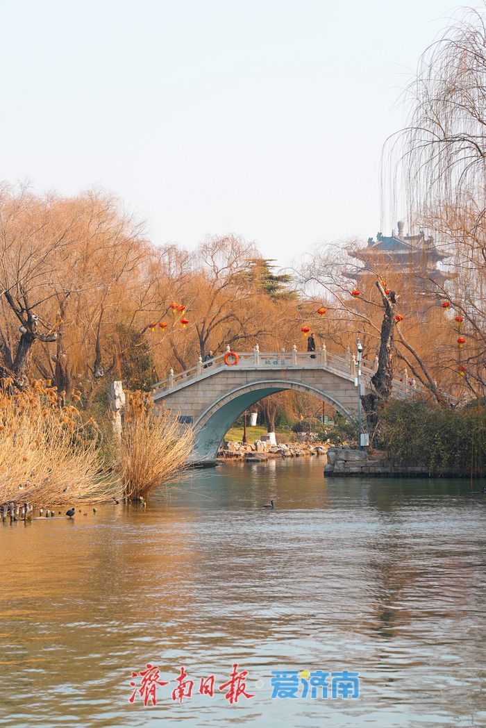 诗意满满！明湖冬韵 美不胜收