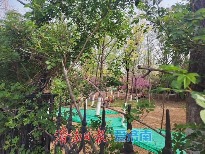 济南本周末降温明显，注意增添衣物