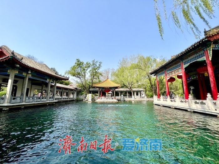 喜提三连涨！连日降雨给力，趵突泉水位逐日攀升